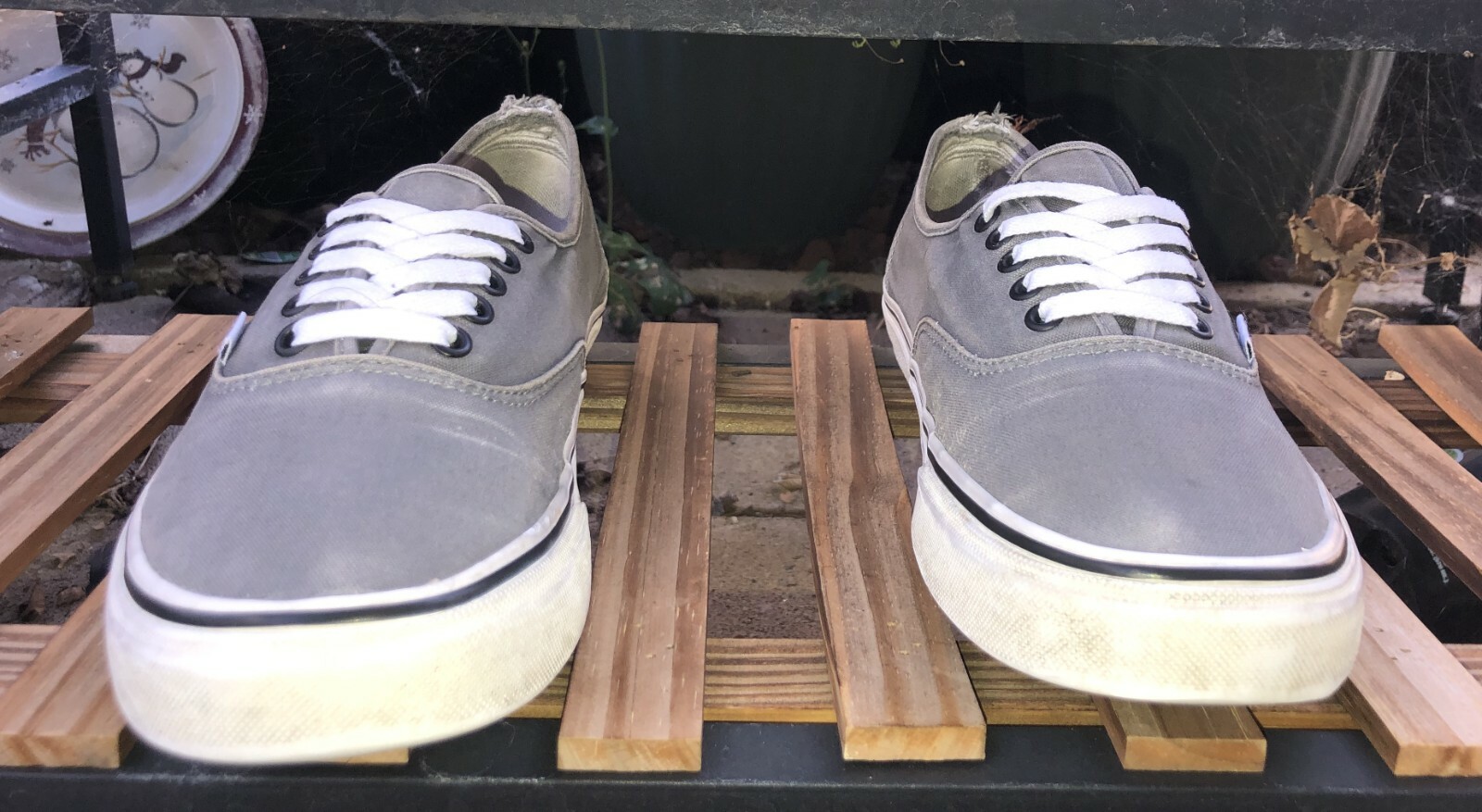 vans authentic 10